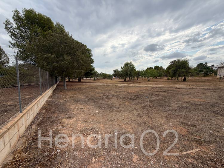 henaria2002